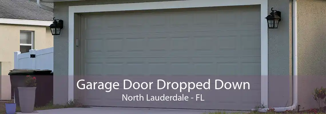 Garage Door Dropped Down North Lauderdale - FL