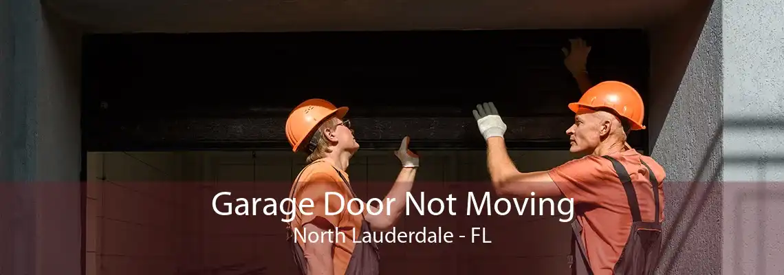 Garage Door Not Moving North Lauderdale - FL